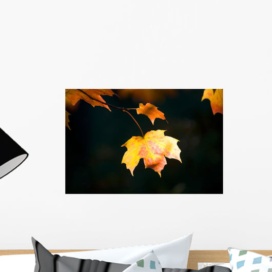 Fall Leaf Wall Mural