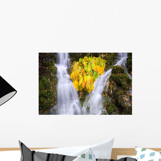 Fall Colors In Crystal Springs Falls, Oregon, Usa Wall Mural