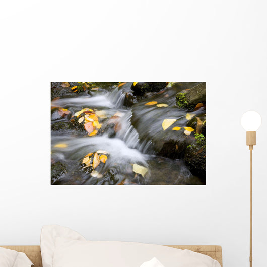 Fall Leaves In Rushing Water Wall Mural
