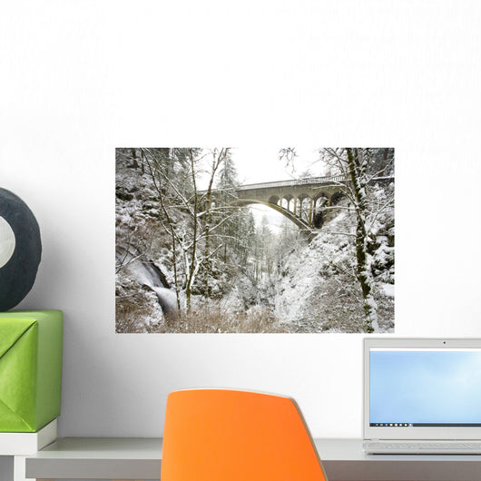 Winter, Shepperd's Dell, Columbia River Gorge, Oregon, Usa Wall Mural