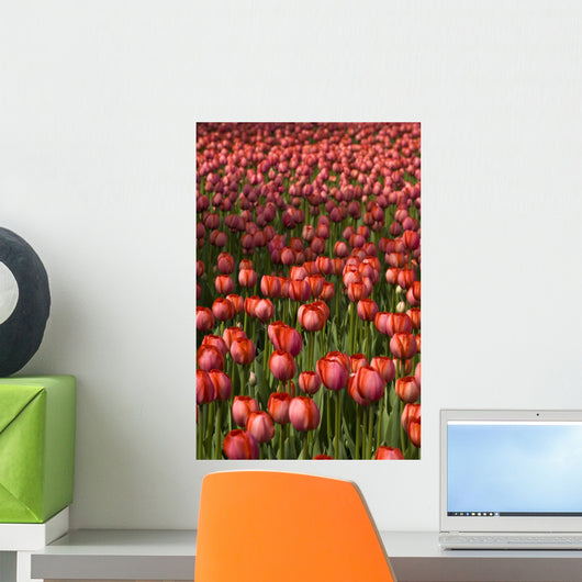 Tulips Wall Mural