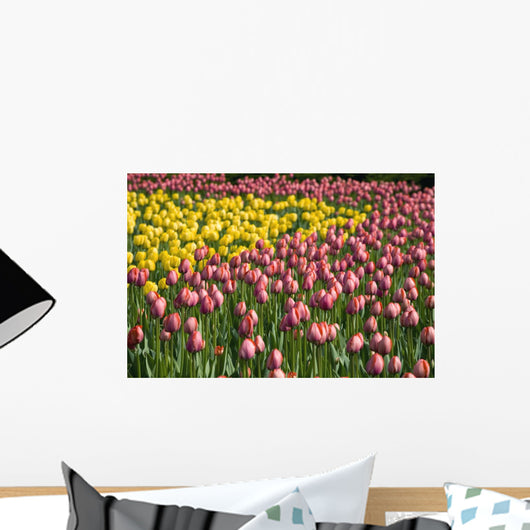 Tulips Wall Mural