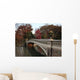 bow bridge in Central Park, Wall Mural