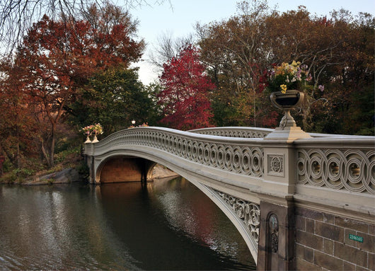 bow bridge in Central Park, Wall Mural