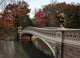 bow bridge in Central Park, Wall Mural