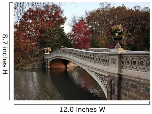 bow bridge in Central Park, Wall Mural