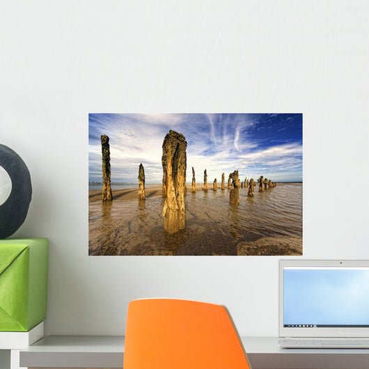 Remnants Of Moorings In Water, Humberside, England Wall Mural