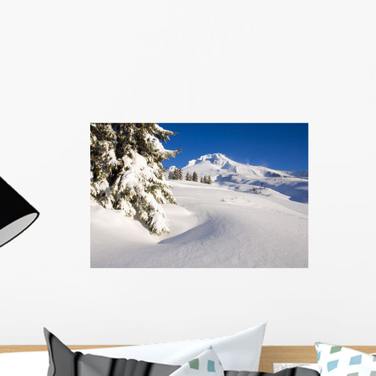 Mount Hood, Oregon Of America Wall Mural