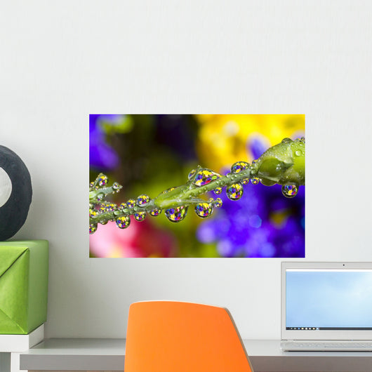 Water Drops On A Flower Stem Wall Mural