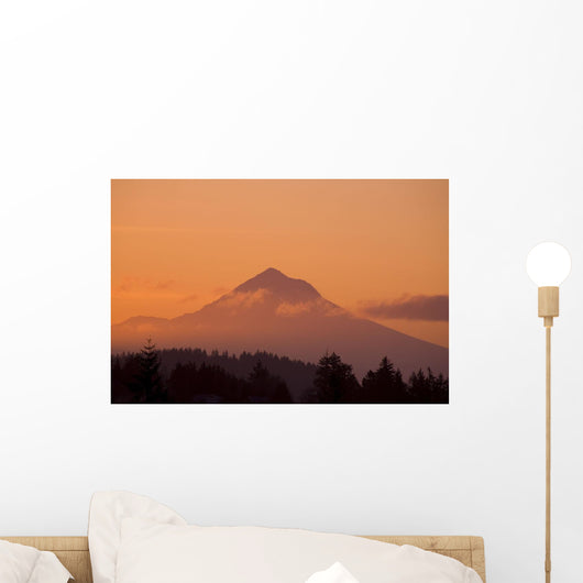 Mount Hood, Oregon, Usa Wall Mural