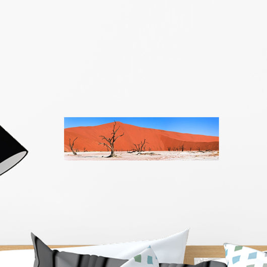 Namib Desert, Namibia, Africa Wall Mural