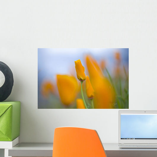 Furled Poppies Wall Mural