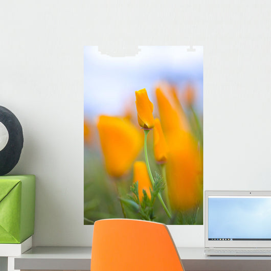 Furled Poppy Wall Mural