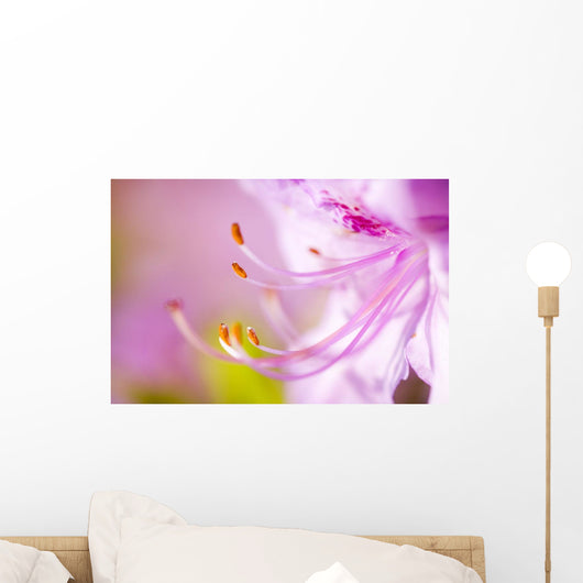 Close Up Of A Pink Flower Wall Mural