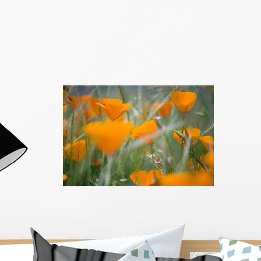 Orange Poppies Wall Mural