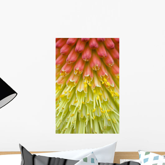 Close Up Of Flower Stamen Wall Mural