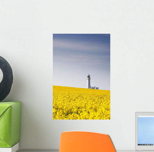 Field Of Yellow Flowers, Lighthouse Wall Mural