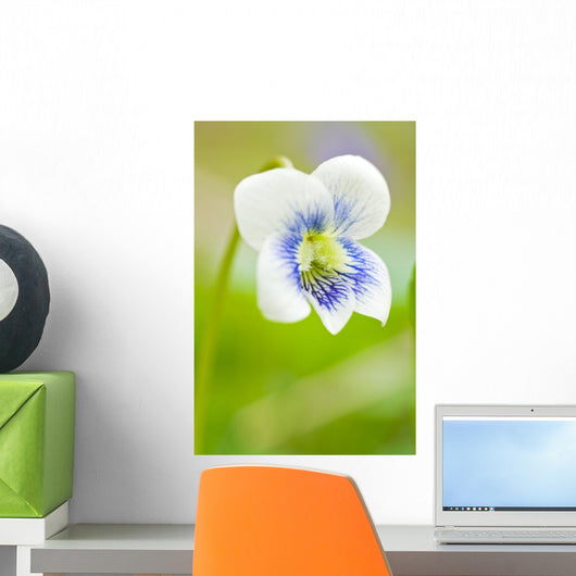 Wild Violet Wall Mural