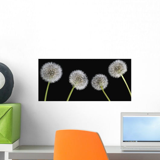 Dandelion Seeds Wall Mural