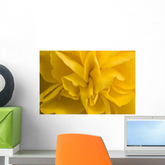 A Golden Begonia Wall Mural