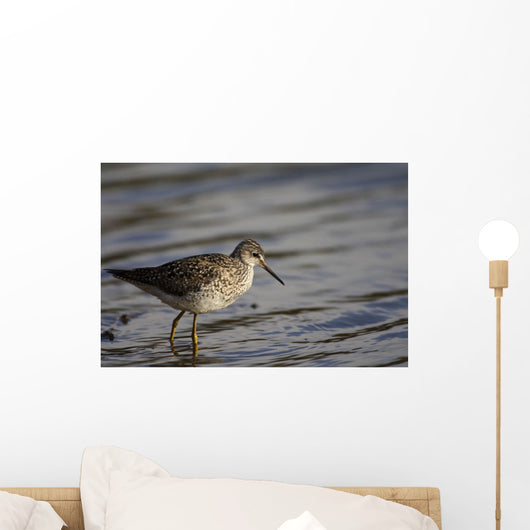 One Bird Wading In Water Wall Mural