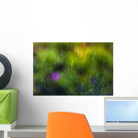 Rainfall Wall Mural