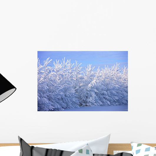 Covered In Snow Wall Mural