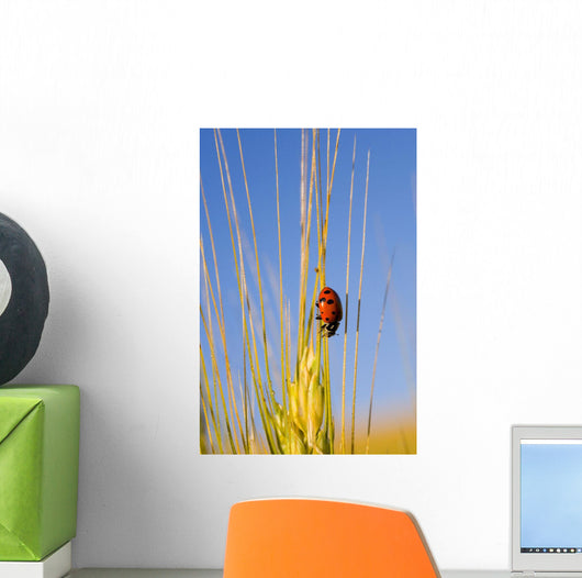 Lady Bug On A Plant Wall Mural