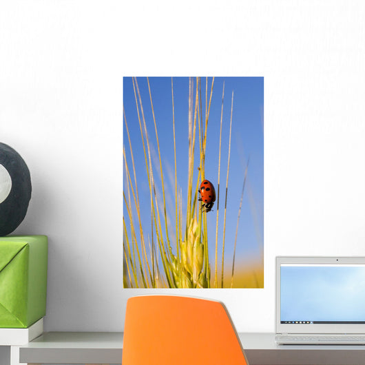 Lady Bug On A Plant Wall Mural