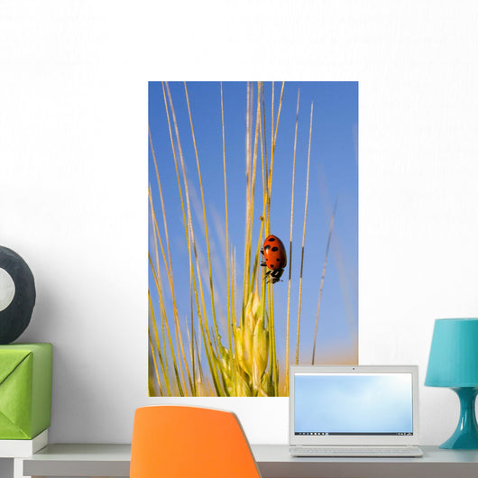 Lady Bug On A Plant Wall Mural