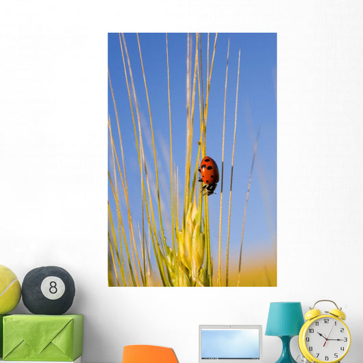 Lady Bug On A Plant Wall Mural