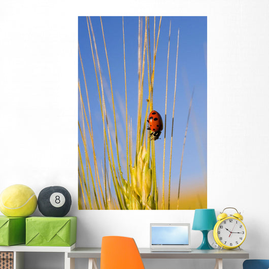 Lady Bug On A Plant Wall Mural