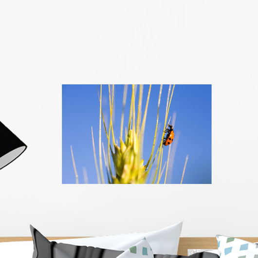 Ladybug On Wheat Wall Mural