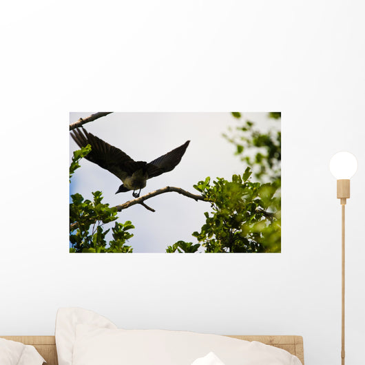 Wild Bird