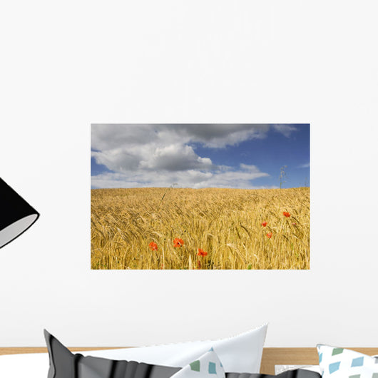 Wild Poppies In Wheat Field, North Yorkshire, England Wall Mural