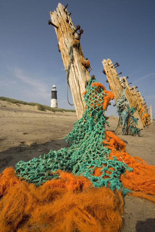 Humberside, England Wall Mural