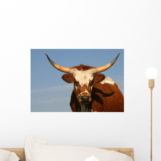 Texas Longhorn Cow Wall Mural