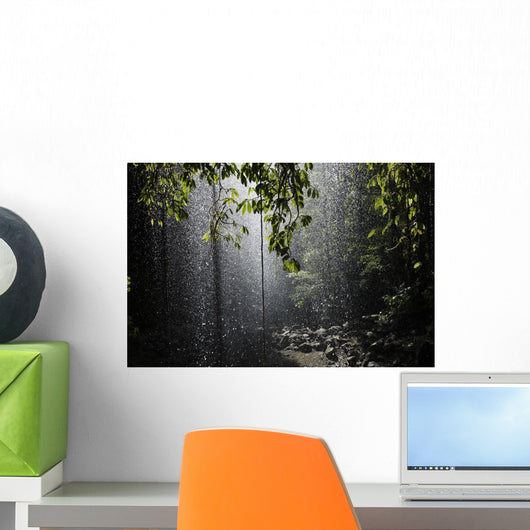 Rainforest, Bellingen, Australia Wall Mural