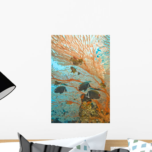 Collare Butterflyfish Wall Mural