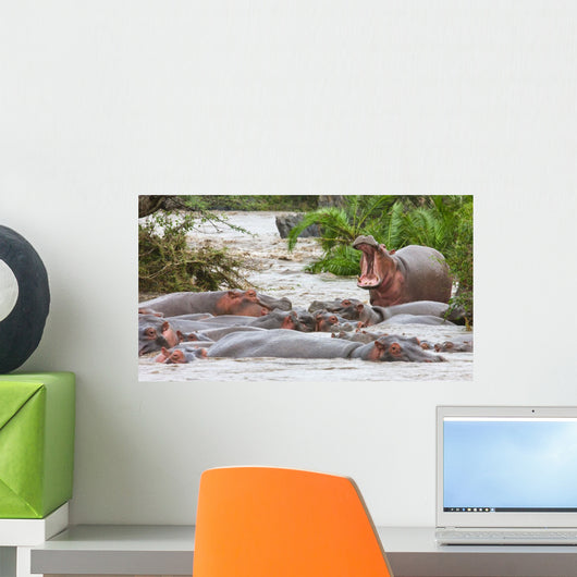 Yawning Hippo Wall Mural