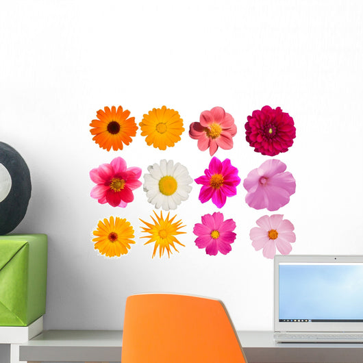 Flowers Decorative Collection Wall Mural