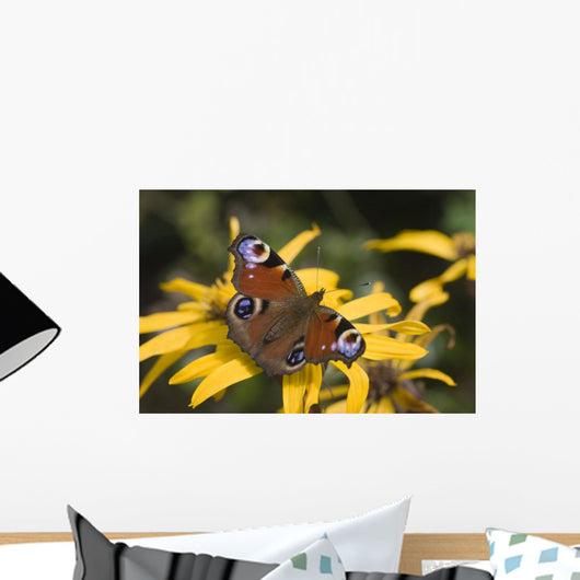 Butterfly Wall Mural