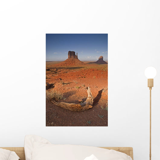 Monument Valley, Kayenta, Arizona, Usa Wall Mural
