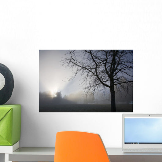 Sunrays Through Fog Wall Mural