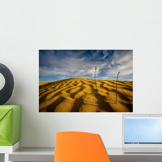 Sahara Desert, Tunisia, Africa Wall Mural
