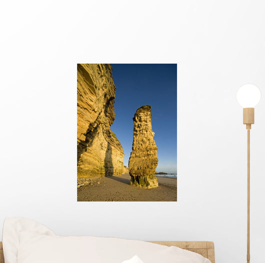 Lot's Wife Rock Formation, South Shields, Tyne And Wear, England Wall Mural