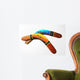Boomerang