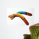 Boomerang