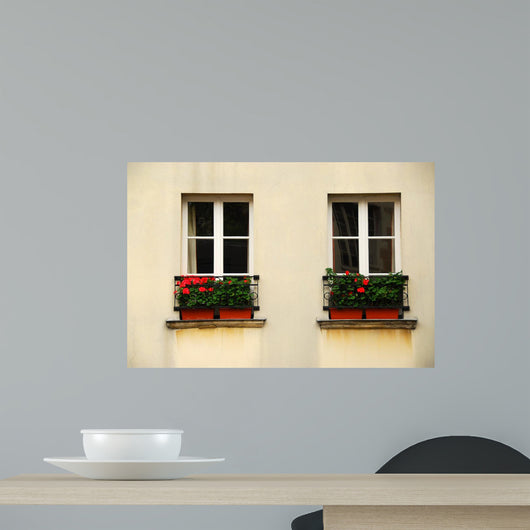 Windows with Planters