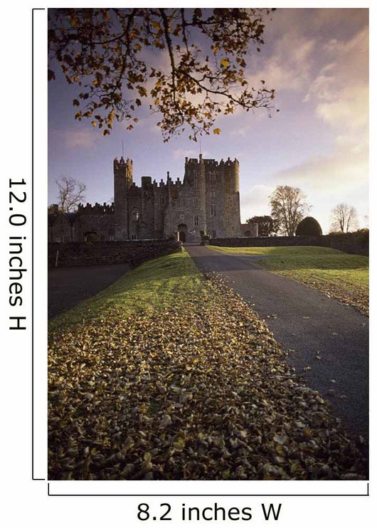 Kilkea Castle, Co Kildare, Ireland Wall Mural